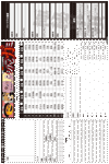 キャラクターシート一般人